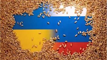   عملاقة السلع الزراعية «كارجيل» تتوقف عن تصدير الحبوب الروسية