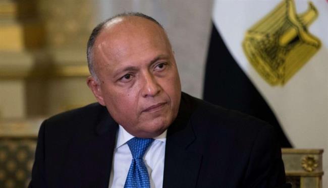 سامح شكري يؤكد استعداد مصر لتطوير العلاقات مع الدنمارك