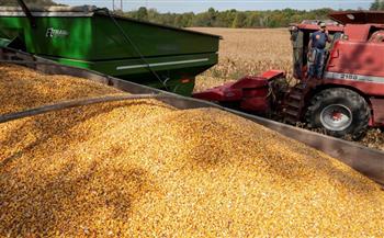   الإرجنتين تخفض محصولي فول الصويا والذرة لهذا الموسم