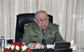   رئيس أركان الجيش الجزائري: نسعى دائمًا للمساهمة في التنمية المستدامة لدول الجوار