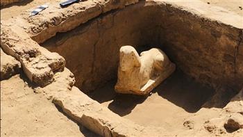   وزير الآثار الأسبق يكشف مفاجأة عن تمثال أبو الهول 
