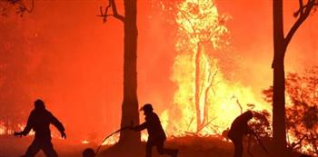   تحذيرات في أستراليا من تزايد حرائق الغابات مع موجة الحر التي تهيمن على سيدني