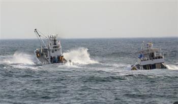  إصابة 6 أشخاص جراء اصطدام حوت بقارب صيد في اليابان