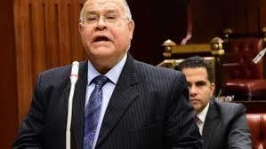 حزب "الجيل الديمقراطي" يؤكد قدرة مصر على قيادة أفريقيا في قطاع البتروكيماويات