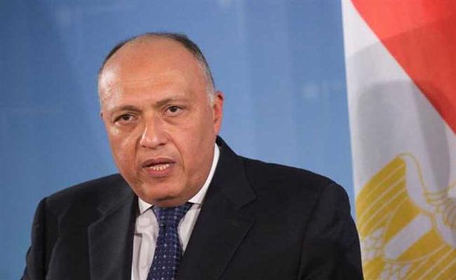 مصر تعتمد قرارا بشأن سد النهضة فى مجلس وزراء الخارجية العرب