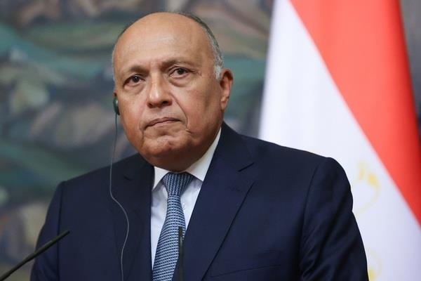 سامح شكري: مصر تعمل على تعزيز دور الجامعة العربية