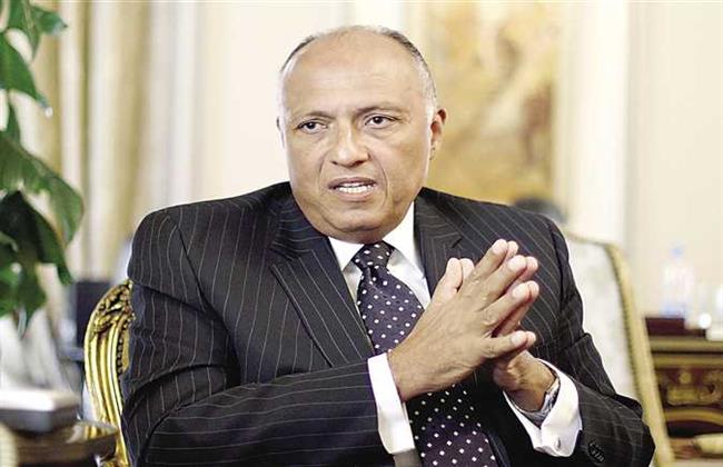 سامح شكري: لجنة مشتركة لبلورة التعاون بين مصر وكينيا