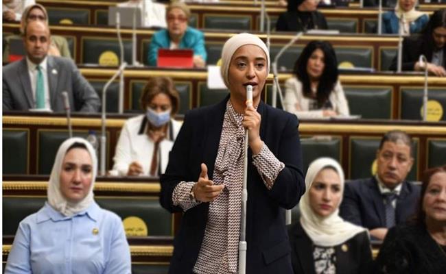 بيان عاجل للبرلمان على خلفية رفض ولادة سيدة حامل بمستشفى كفر شكر