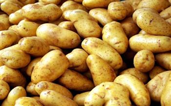   «تصديري الحاصلات الزراعية» يعلن الإفراج عن سفينتي البطاطس المحتجزتين في لبنان