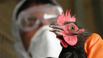   أول وفاة بشرية بإنفونزا الطيور في الصين
