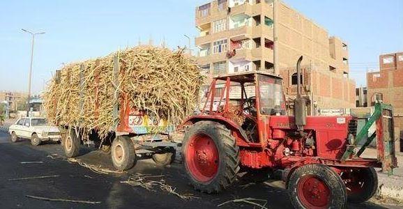 الداودي يأمر بمصادرة جرار قصب لمخالفته التعليمات بقوص جنوب قنا 