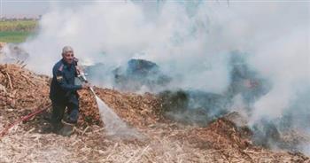   السيطرة على حريق نشب في محصول لقصب السكر بقرية المراشدة بقنا 