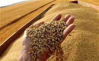   "صناعة الحبوب" تشيد بقرار الحكومة رفع سعر توريد إردب القمح لـ1500 جنيه