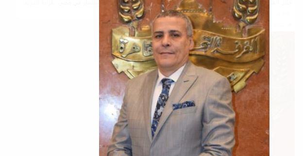 عماد قناوي: إطلاق منصة رقمية لتأسيس الشركات يعزز من جاذبية الاستثمار الأجنبي المباشر