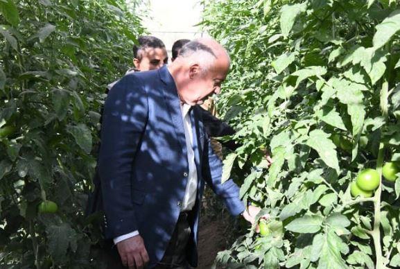محافظ قنا يجرى جولة تفقدية بعدد من مشروعات الأمن الغذائي بالمعنا