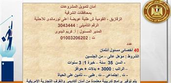 «القوى العاملة»: فرص عمل للشباب في محافظتي الإسماعيلية والشرقية 