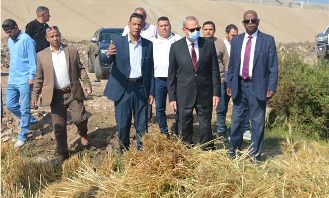 محافظ القليوبية يشهد بدء موسم حصاد القمح في الحقول مع المزارعين ببنها 