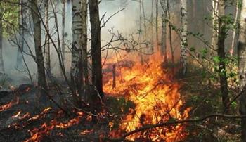   الصين: إجلاء نحو 2000 شخص مع السيطرة على حريق غابة جنوب غربي الصين