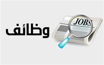 "القوى العاملة" تعلن فرص عمل لأصحاب المؤهلات المتوسطة