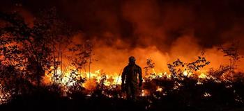   السيطرة على حريق هائل دمر نحو 930 هكتارا في جنوب فرنسا
