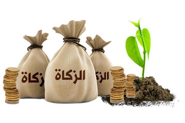 المفتي يكشف شروط وجوب الزكاة وحكم التهرب من إخراجها