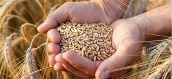   وزير الزراعة التشيكي: براغ لن تحظر واردات الحبوب من أوكرانيا