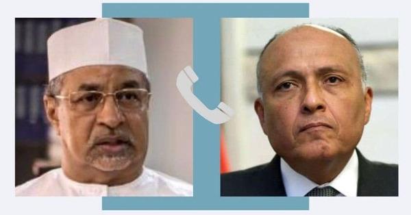 شكرى يناقش آخر التطورات في السودان مع وزير خارجية تشاد