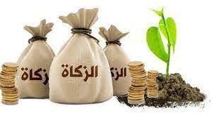 هل من الواجب على الزوج إخراج زكاة الفطر عن زوجته؟