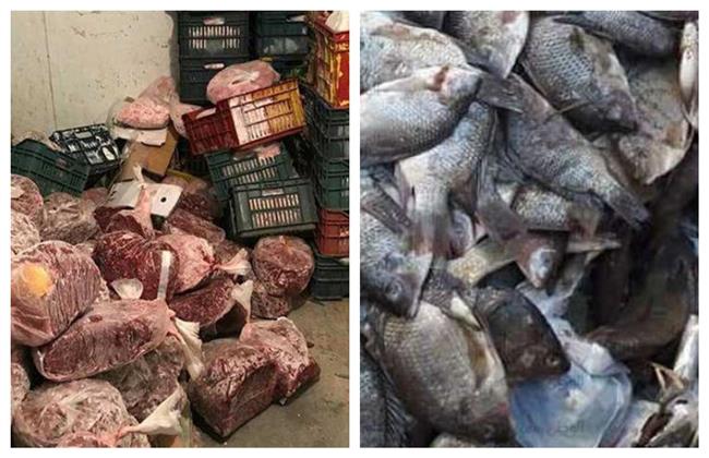 بيطري قنا يضبط لحوم وأسماك فاسدة بأبوتشت 
