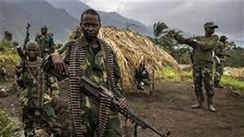   برنامج نزع السلاح: 266 جماعة مسلحة محلية وأجنبية تنشط في شرق الكونغو الديمقراطية