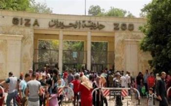   رئيس "حدائق الحيوان: 50 ألف زائر لحديقة حيوان الجيزة خلال أول أيام عيد الفطر