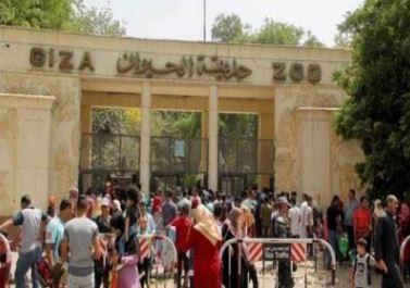 رئيس "حدائق الحيوان: 50 ألف زائر لحديقة حيوان الجيزة خلال أول أيام عيد الفطر
