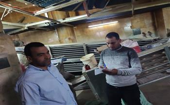 غرفة عمليات وإستنفار بكافة القطاعات والمرافق العامة بالبحيرة في إجازة العيدوحملات تموينية مكثفة 