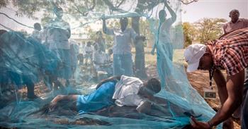   السلطات الرواندية: تكثيف جهود مكافحة الملاريا في المناطق المتضررة