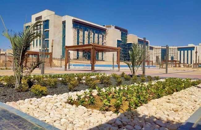 في ذكرى تحرير سيناء.. التعليم العالي: تنفيذ 37 مشروعا بتكلفة 13.4 مليار جنيه 