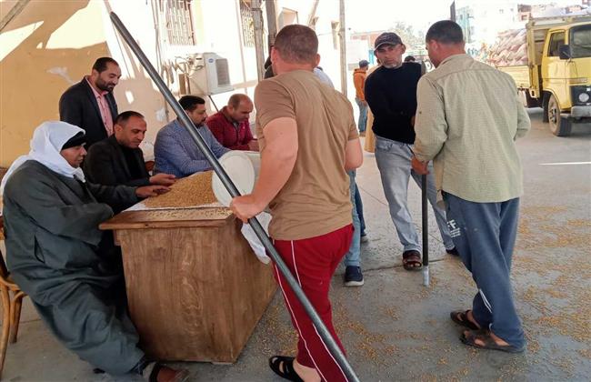 بدء توريد القمح بالصوامع بمركز دسوق