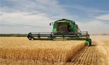   التموين: ارتفاع معدل توريد القمح المحلى إلى 70 ألف طن منذ بدء الموسم