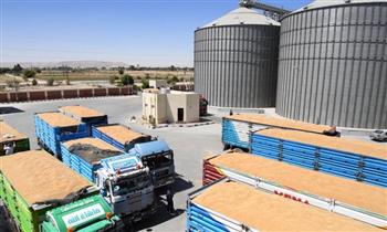  خبير زراعي: مصر لديها صوامع تمكنها من تخزين 5.5 مليون طن قمح