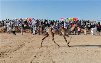 «الشباب والرياضة» بالوادي الجديد تشارك في مهرجان الهجن بالعريش