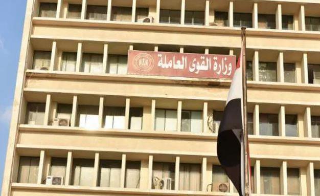 " القوى العاملة ":ختام دورة تدريبية للسيدات المعيلات بالأسكندرية
