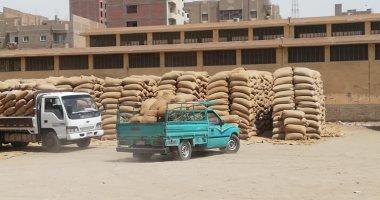 توريد 1136 طن قمح لشون وصوامع أسيوط حتى الآن