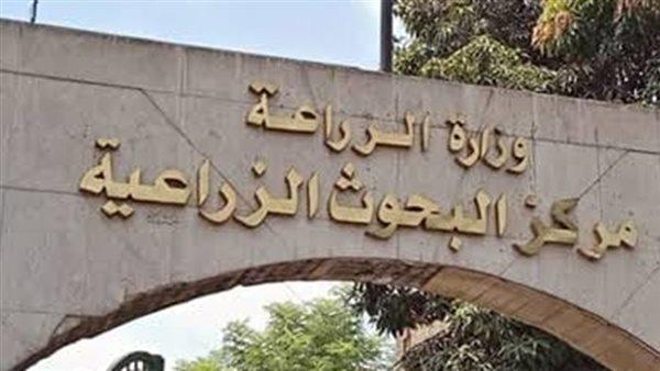 اختيار مصر لرئاسة مجلس خبراء البحوث من أجل التأثير والتنمية المستدامة بإفريقيا