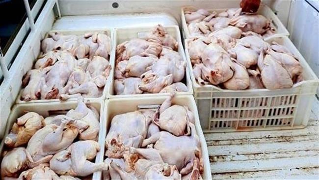 ضبط 30 كيلو كبد وقطع دواجن منتهية الصلاحية بدمياط