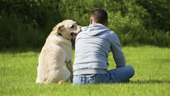  5 شروط لاقتناء الكلاب طبقًا للقانون 