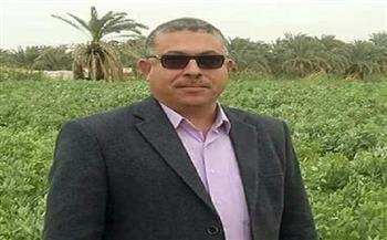زراعة الوادي الجديد: توريد 57458 طنا من القمح حتى الآن