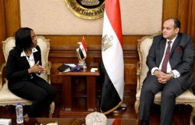 نوفمبر المقبل.. وزير التجارة يبحث مع وفد «البنك الأفريقي» استعدادات استضافة معرض التجارة البينية
