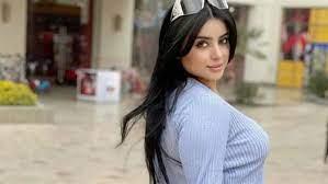 القبض على الموديل سلمى الشيمى لنشرها مقاطع وصورًا منافية للآداب 