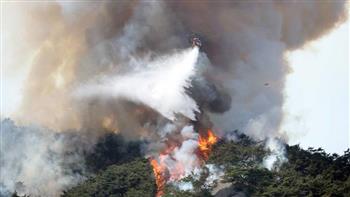   كوريا الجنوبية: إخماد حرائق الغابات في سول تماما بعد 25 ساعة