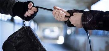 القبض علي شخصين بالقاهرة لقيامهما بسرقة حقيبة إحدى السيدات