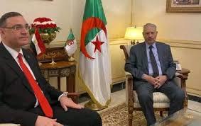   سفير مصر لدى الجزائر يسلم دعوة مجلس الشيوخ إلى رئيس الأمة الجزائري لزيارة القاهرة